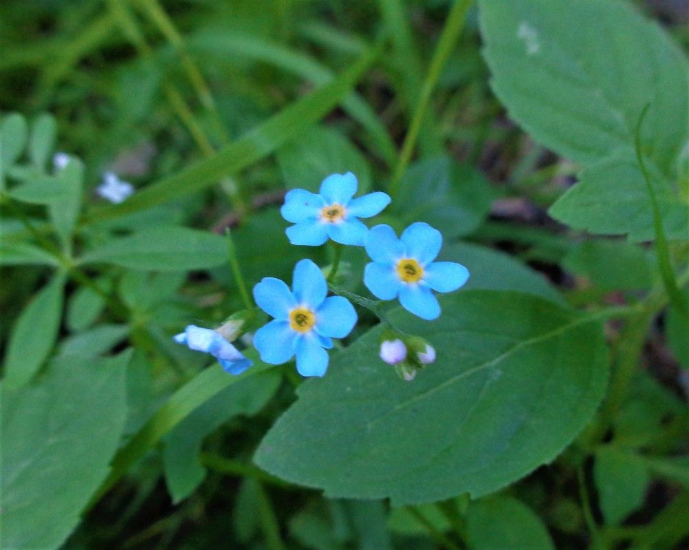 Photograph by Владимир Джерихов