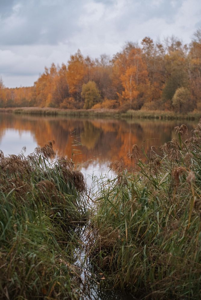 Photograph by Ольга Глазунова