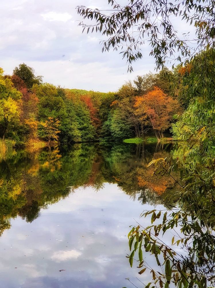 Photograph by Эльвира Куликова