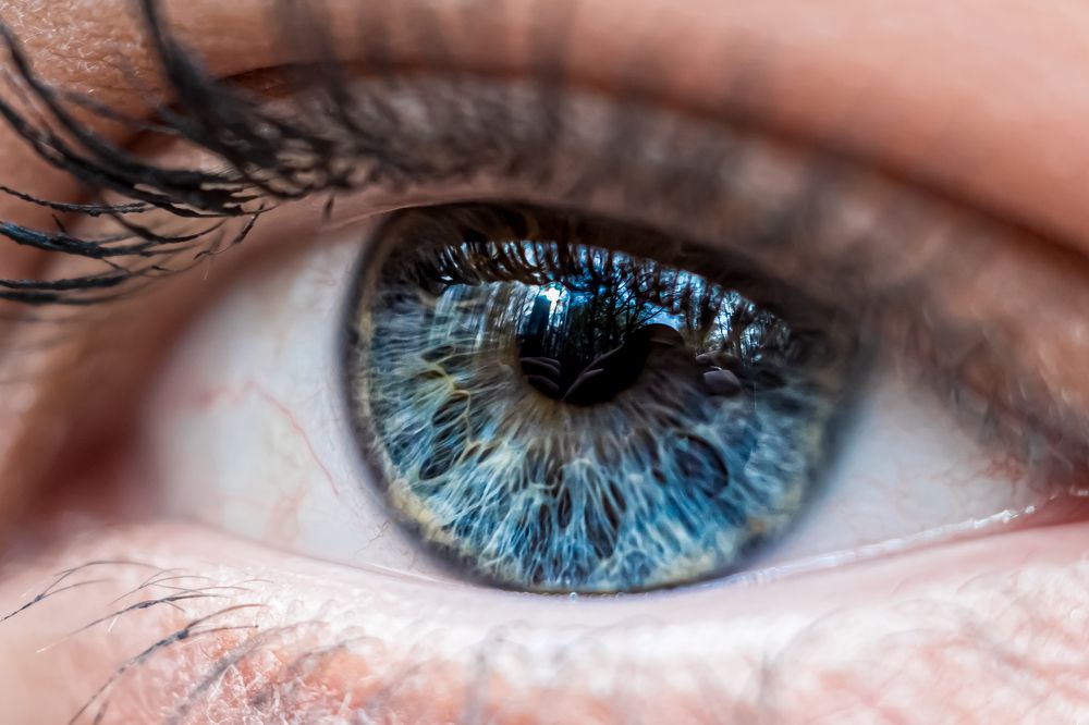 Photograph by Андрей Шишлов