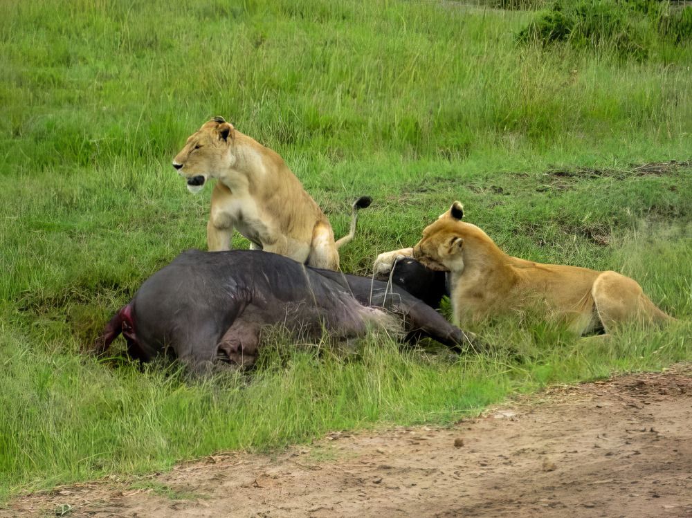 Photograph by Neelimaa Ripote