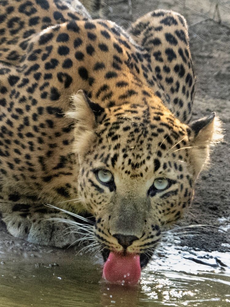 Photograph by Ashwani kasid