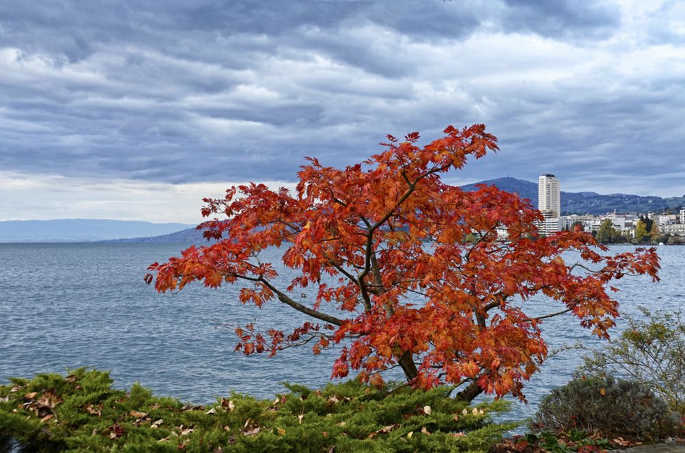 Photograph by Валерий