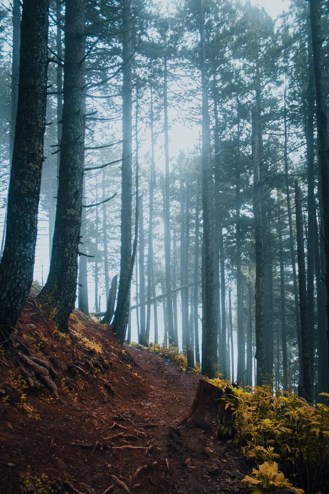 Photograph by Bhatt Muxamil