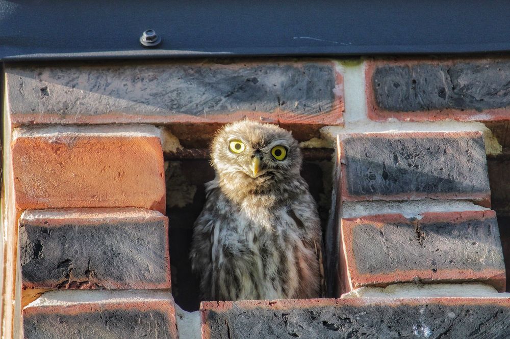 Photograph by Алексей Кроль