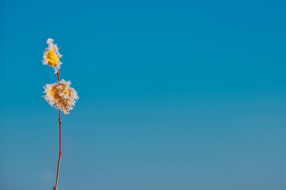 Photograph by Юрий Никульников