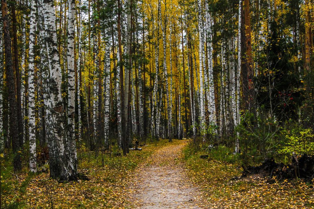 Photograph by Матвей Короткин