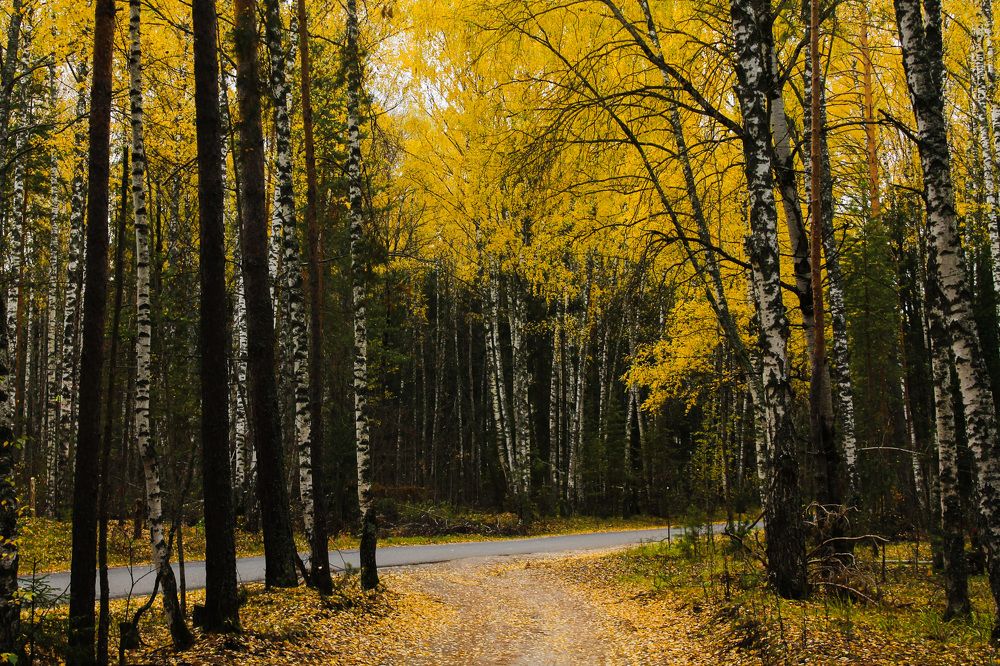 Photograph by Матвей Короткин