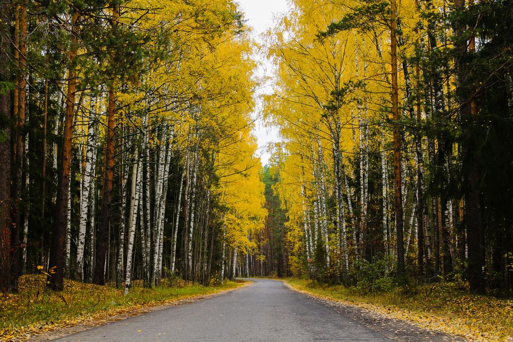 Photograph by Матвей Короткин