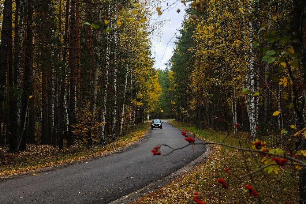 Photograph by Матвей Короткин