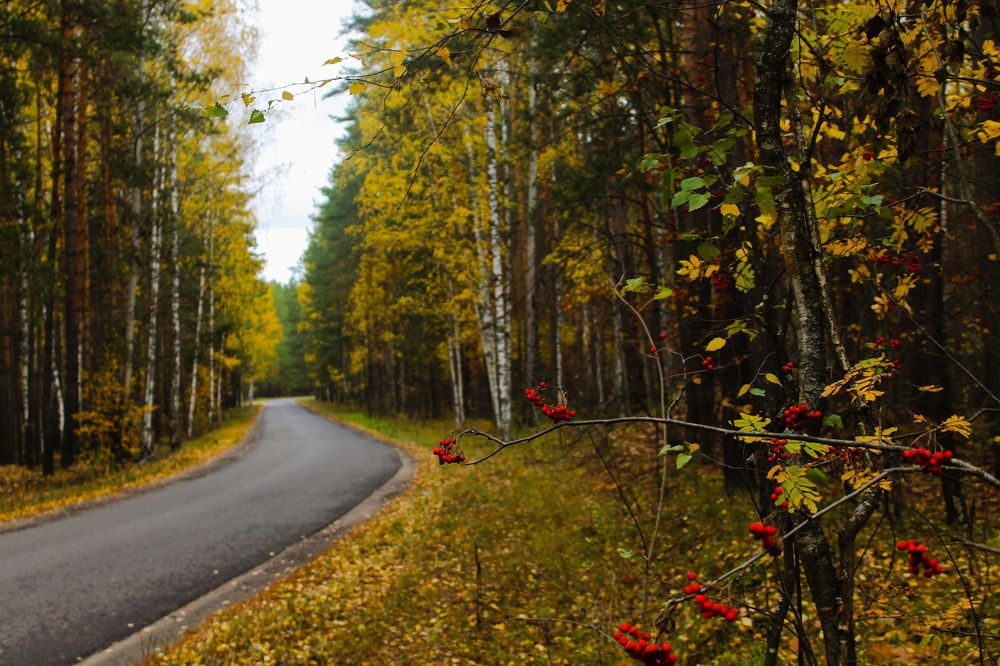 Photograph by Матвей Короткин