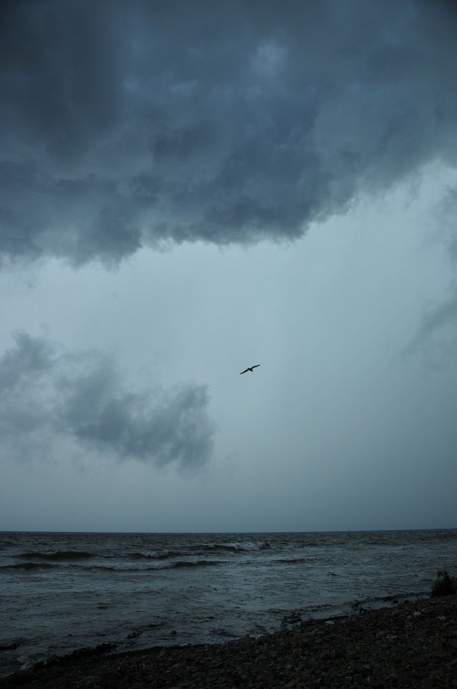 Photograph by Дерезюк Юрий Александрович