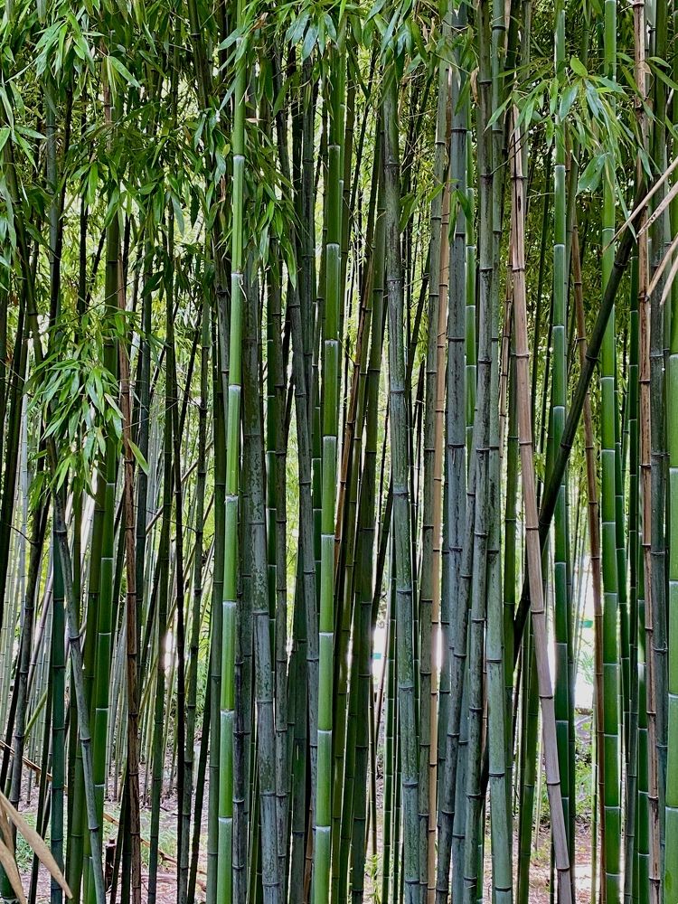 Photograph by Дарья Михайловна