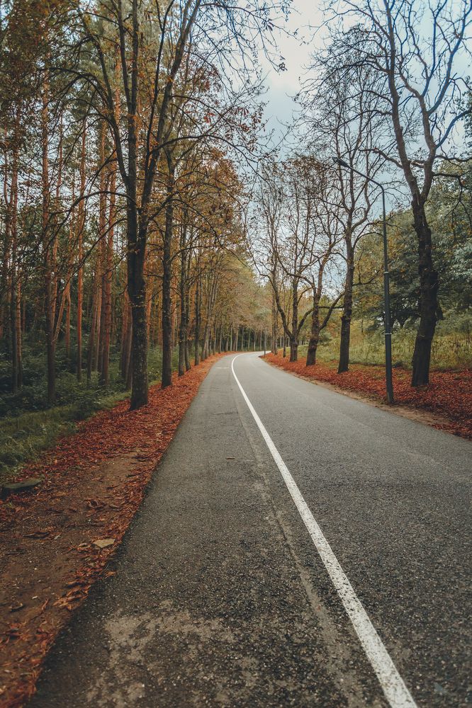 Photograph by Михаил Владимирович