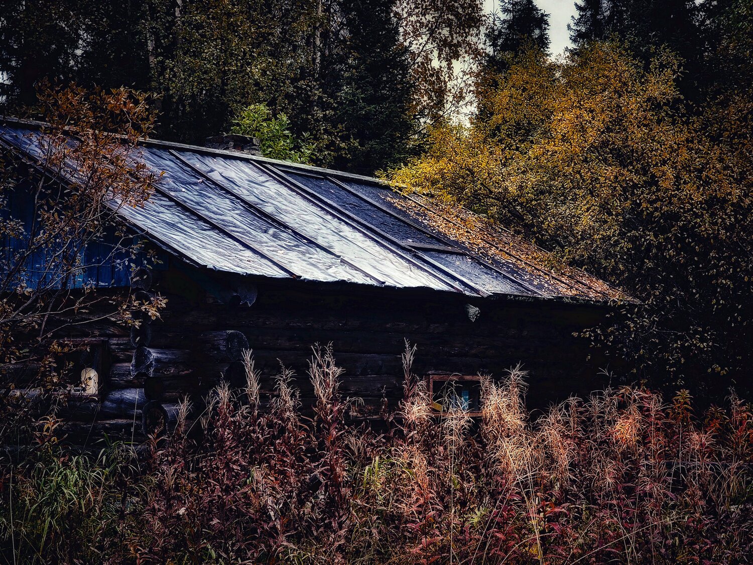 Photo #8282997