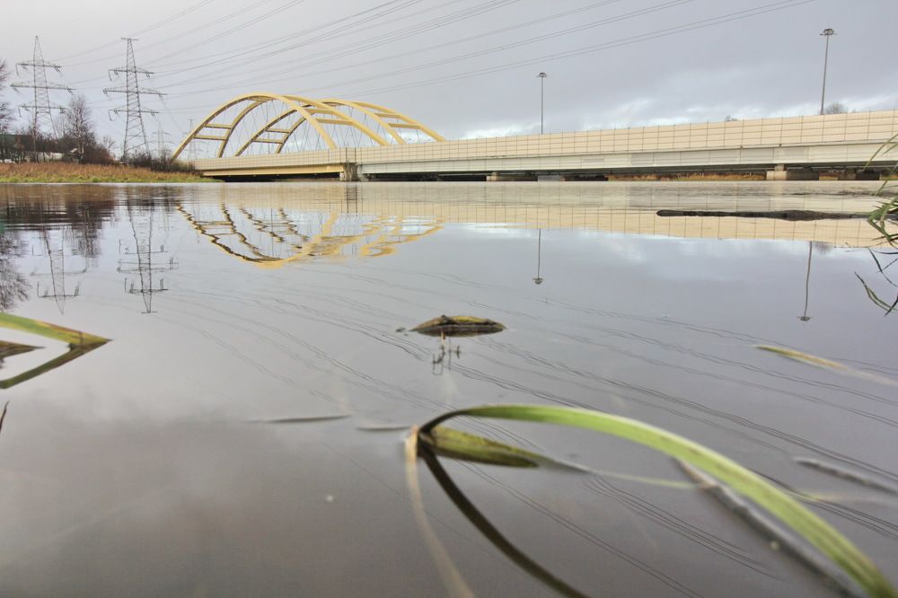 Photograph by Тимофей Петров