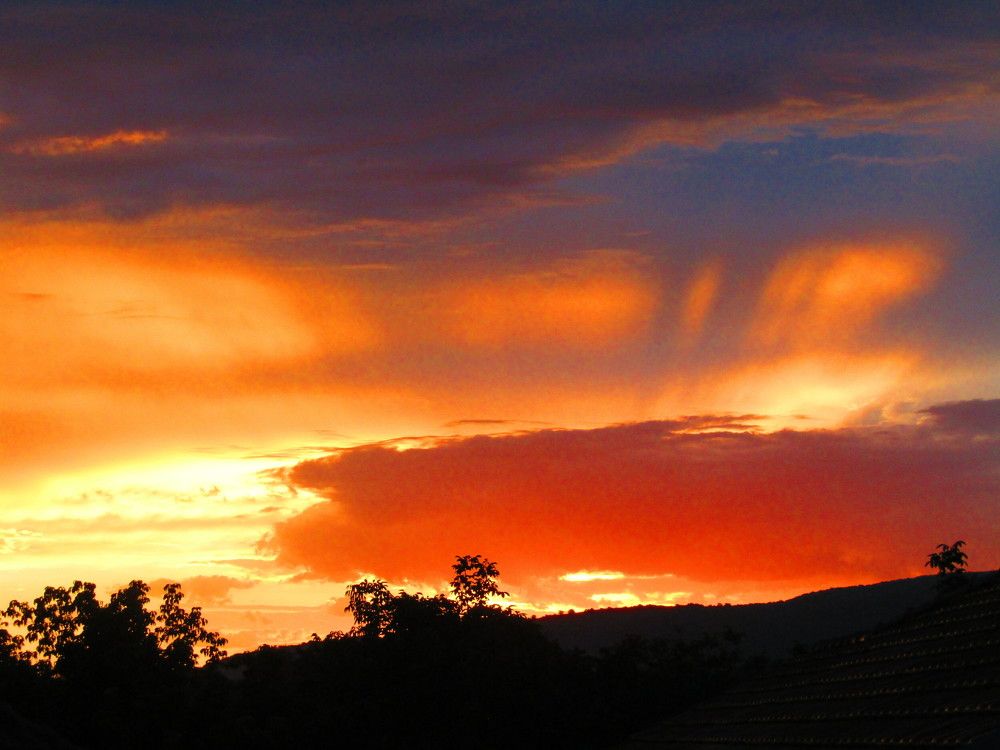 Photograph by Darko Milojevic