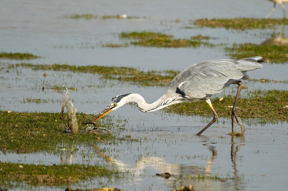 Фотография автора Jian Ma