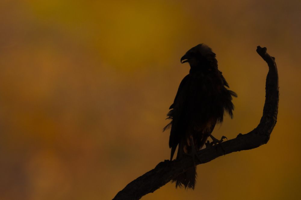 Photograph by Miguel Angel Berbegal Vazquez