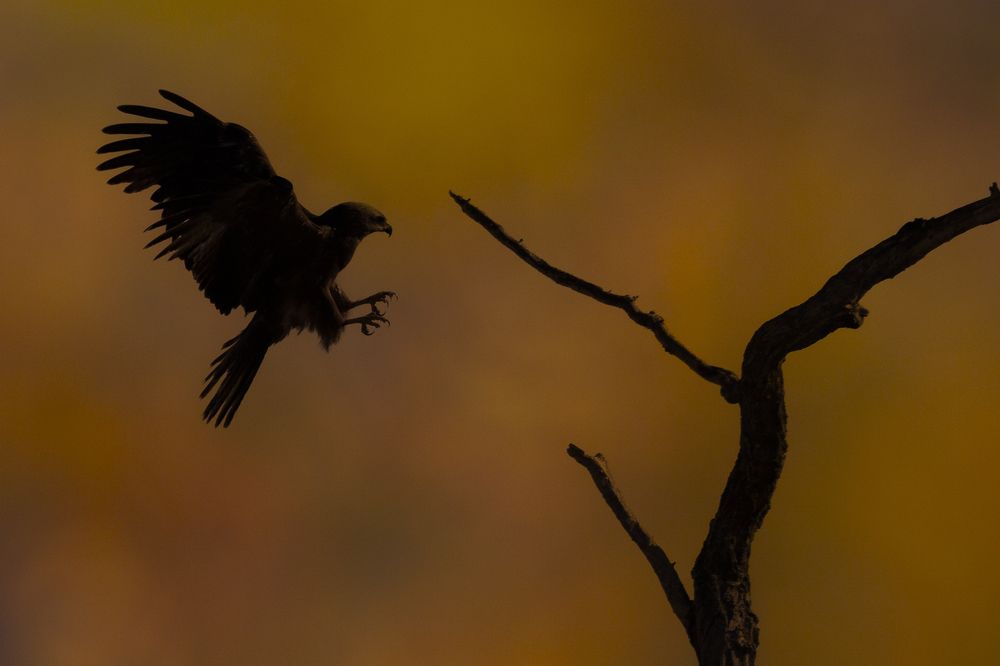 Photograph by Miguel Angel Berbegal Vazquez