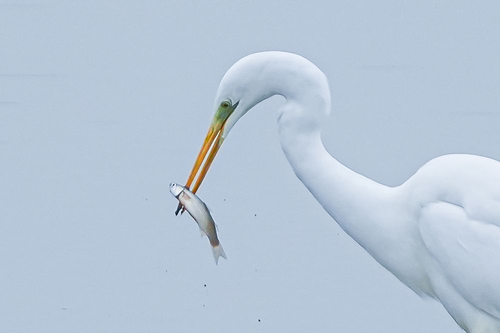 Фотография автора Jian Ma