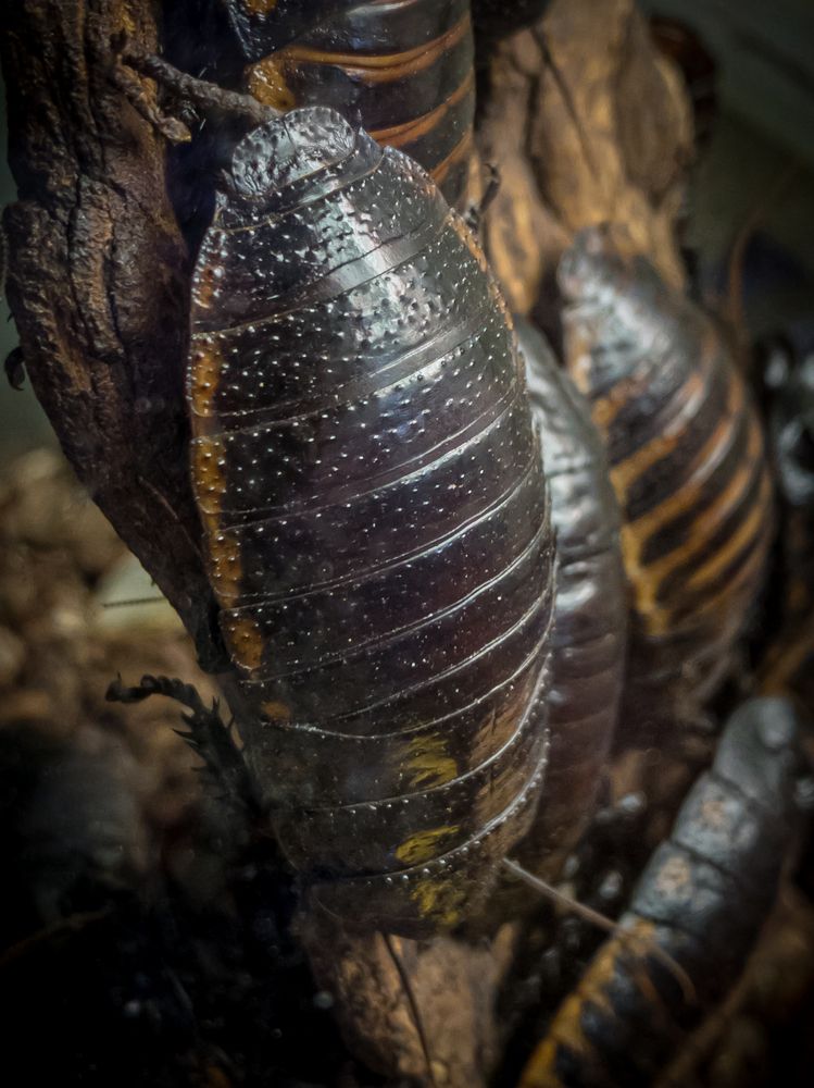 Photograph by Хавронина Марина