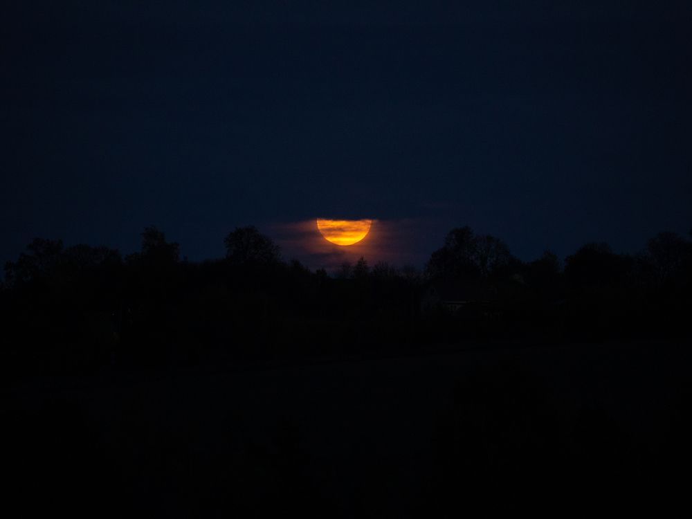 Photograph by Olga Zharkova