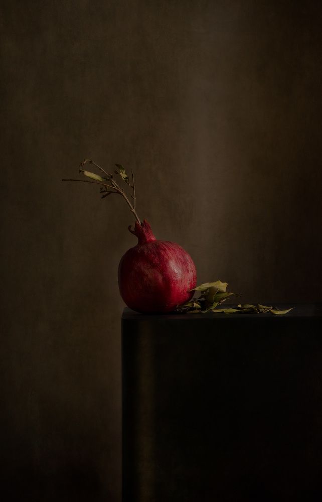 Photograph by Наталия Шляпина