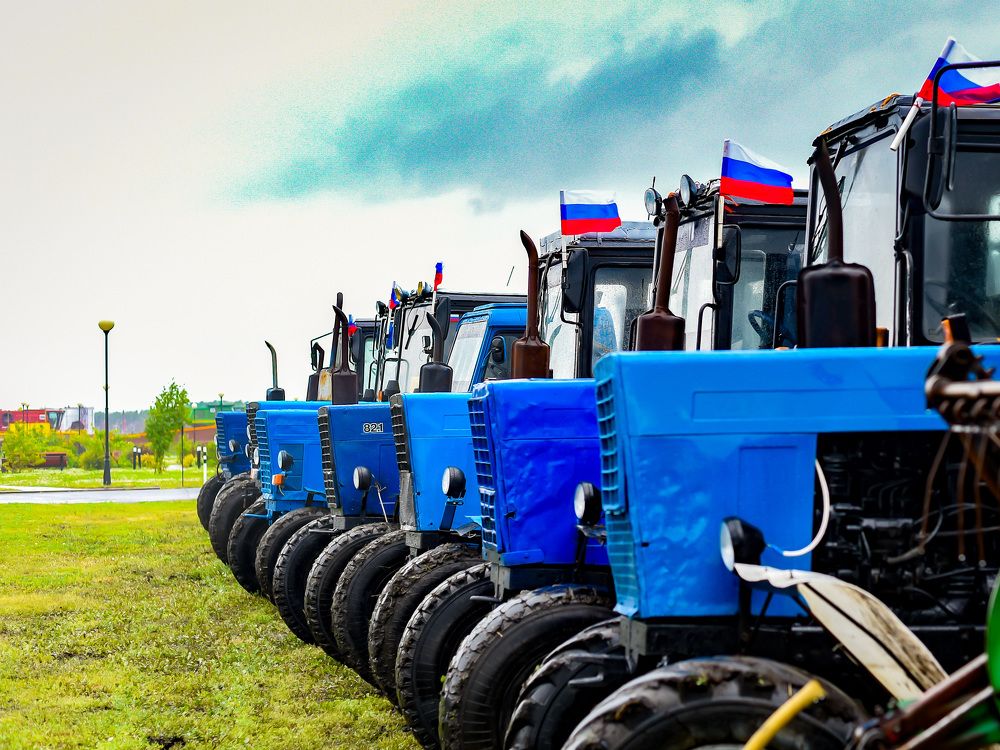 Photograph by Елена Сиушова