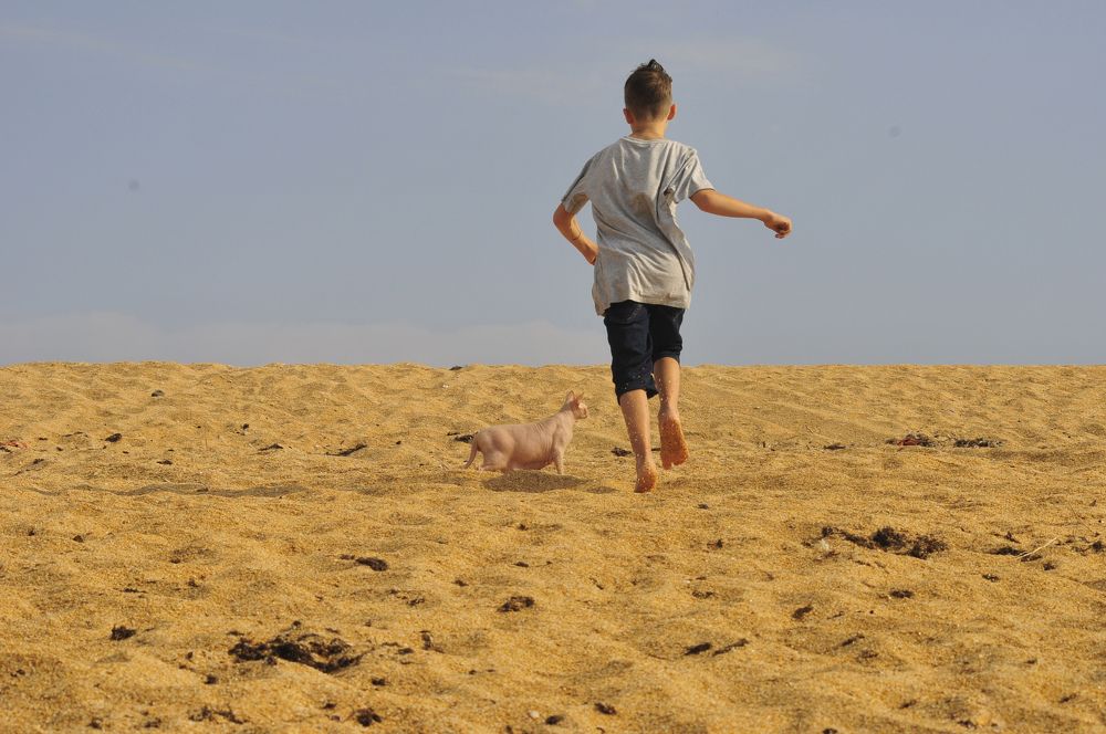 Photograph by Дерезюк Юрий Александрович