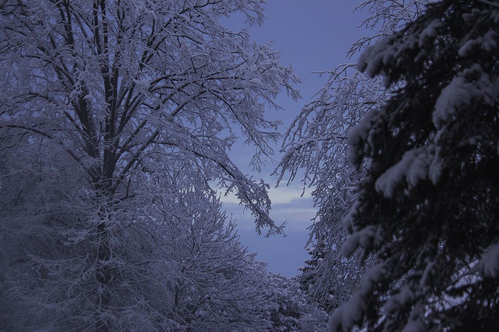 Photograph by Елена Шахова