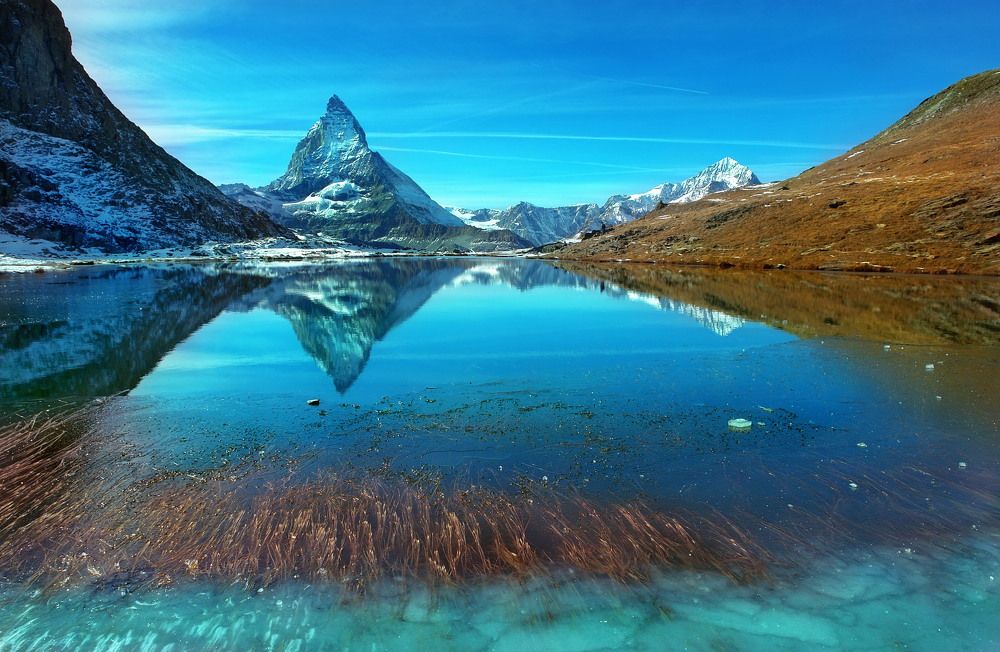 Photograph by Elena Wymann