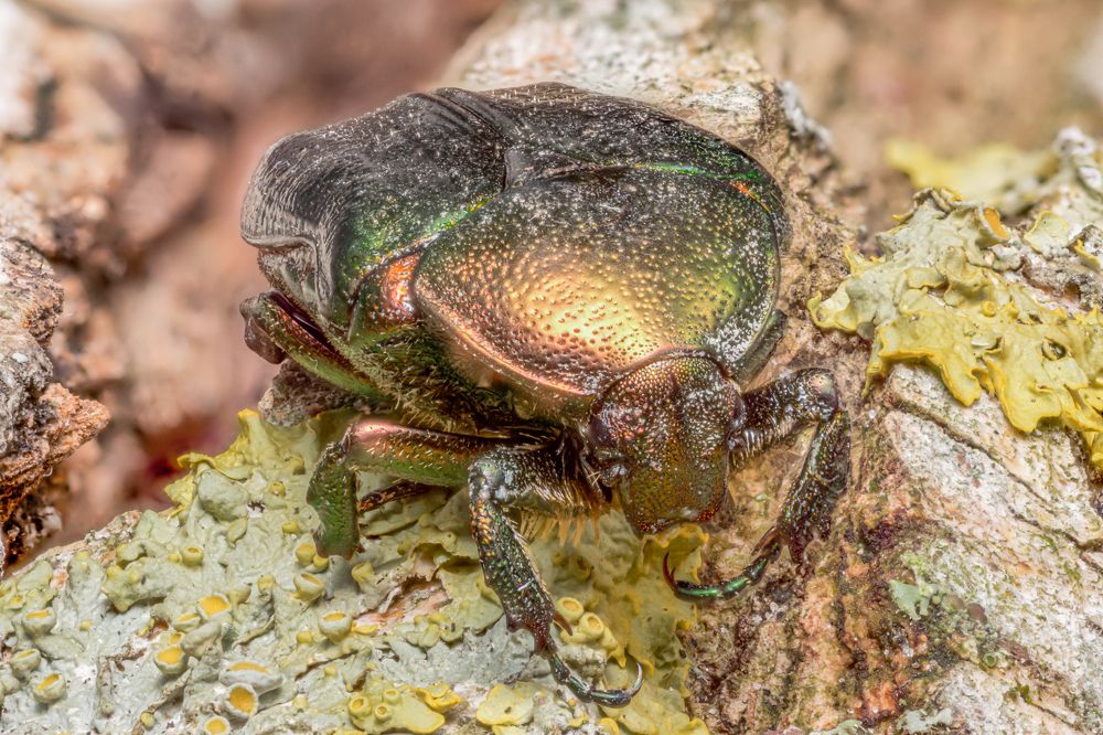 Photograph by Руслан Лесков