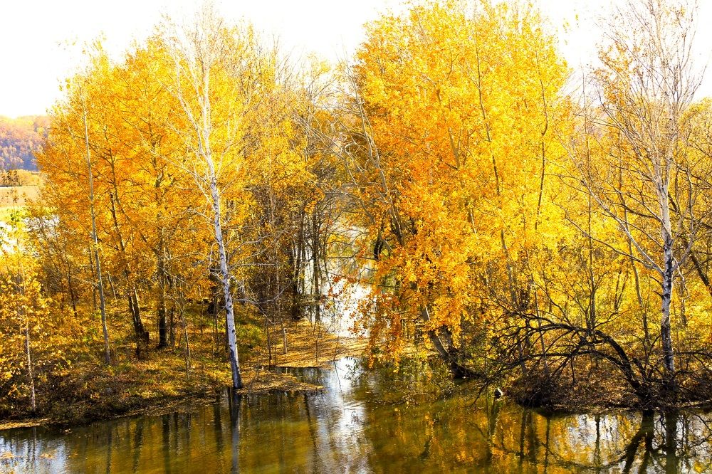 Photograph by Svetlana Victorovna Kibyakova