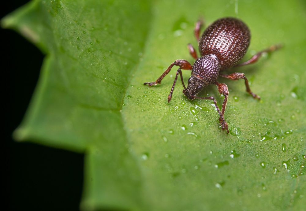 Photograph by Руслан Лесков