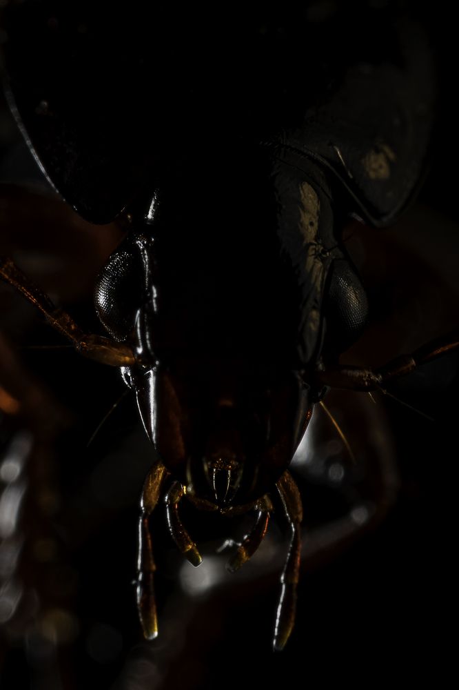 Photograph by Александр Поданев