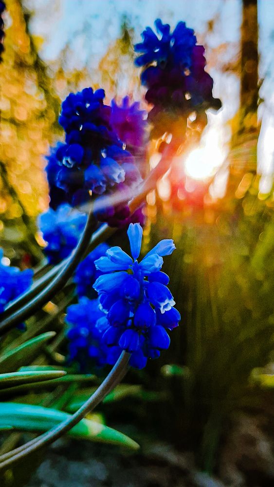 Фотография автора Яна Буко