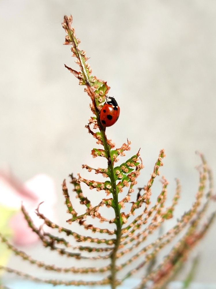 Photograph by Galina Novichkova