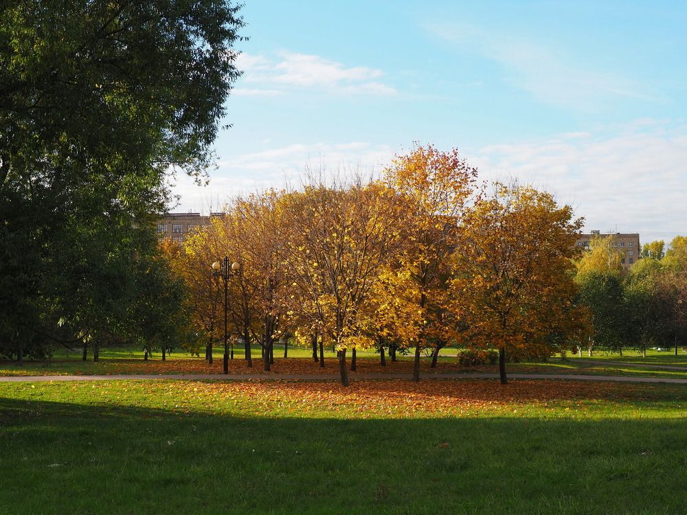 Photograph by Сергей Тузлуков