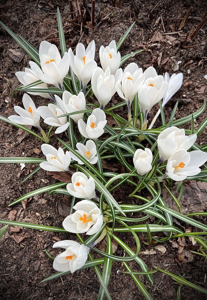 Photograph by Алексей Романов