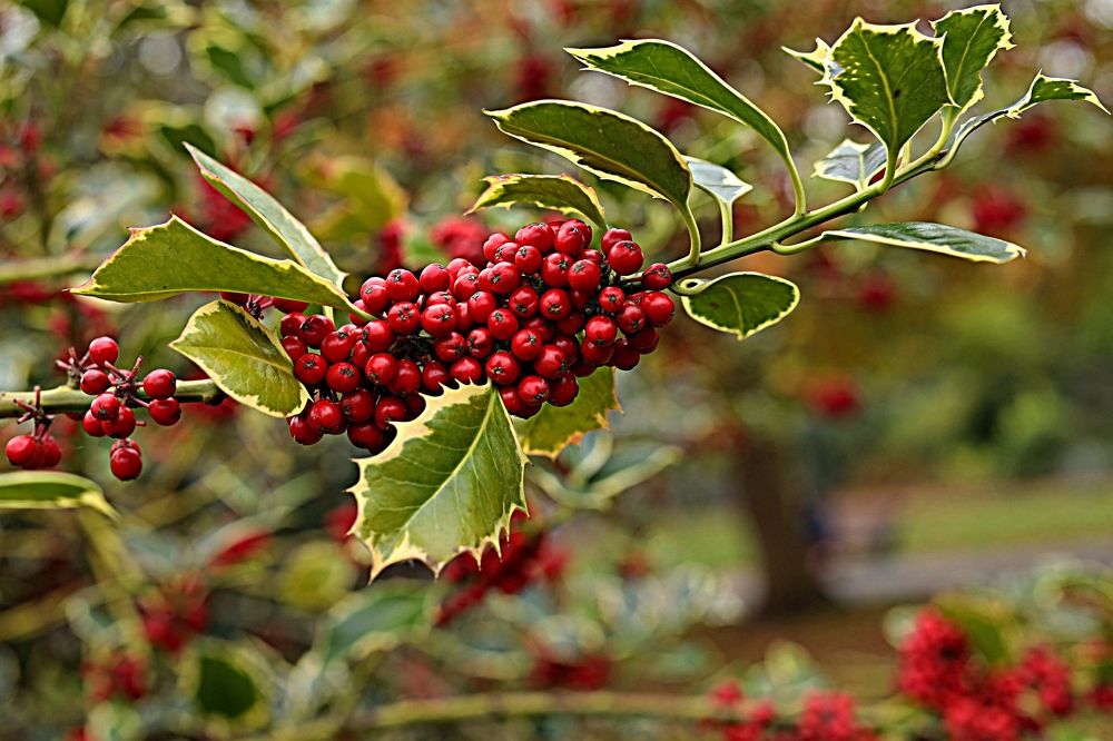 Photograph by Inga Dreger