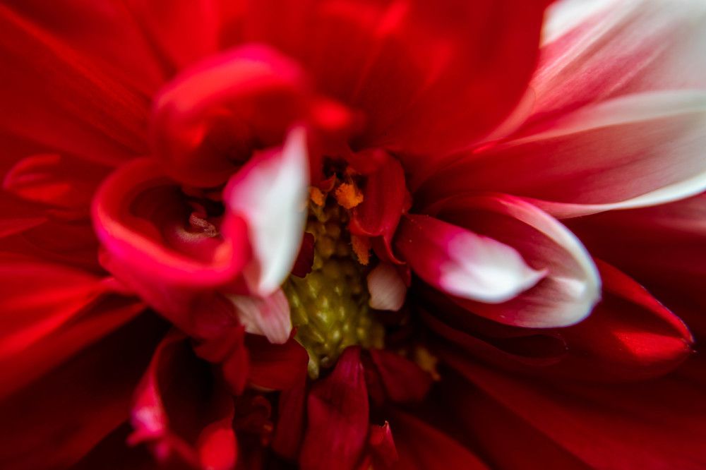 Фотография автора Jose Marcos Carvajal Tarazona