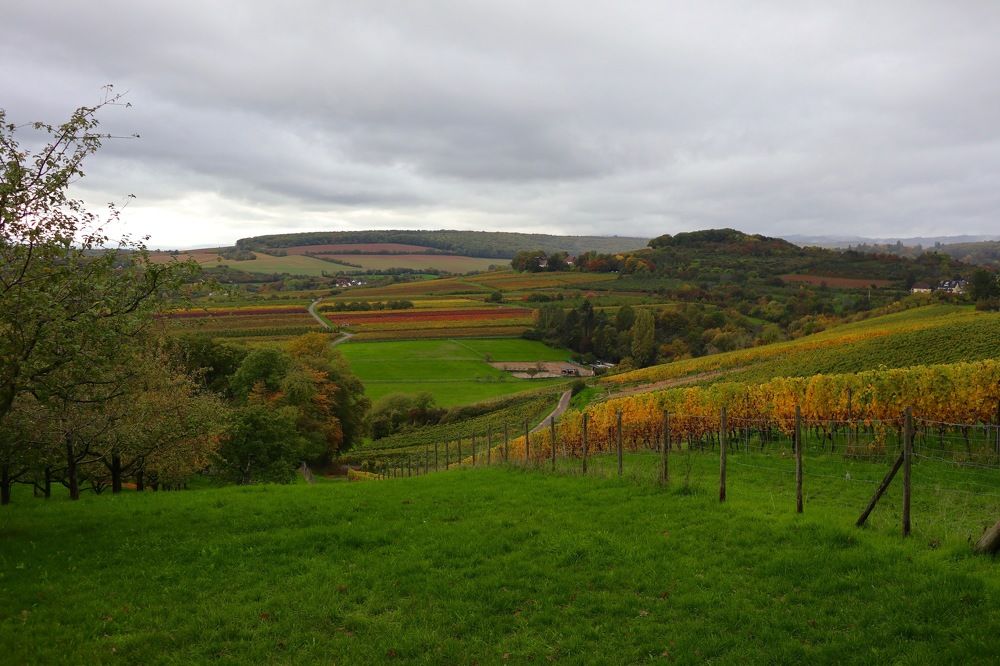 Photograph by Елена Ивкина