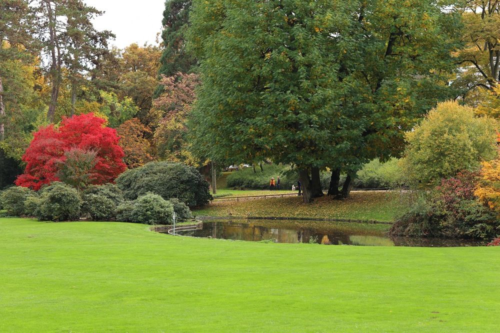 Photograph by Елена Ивкина