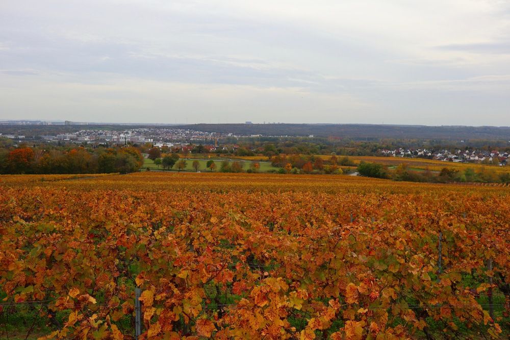 Photograph by Елена Ивкина