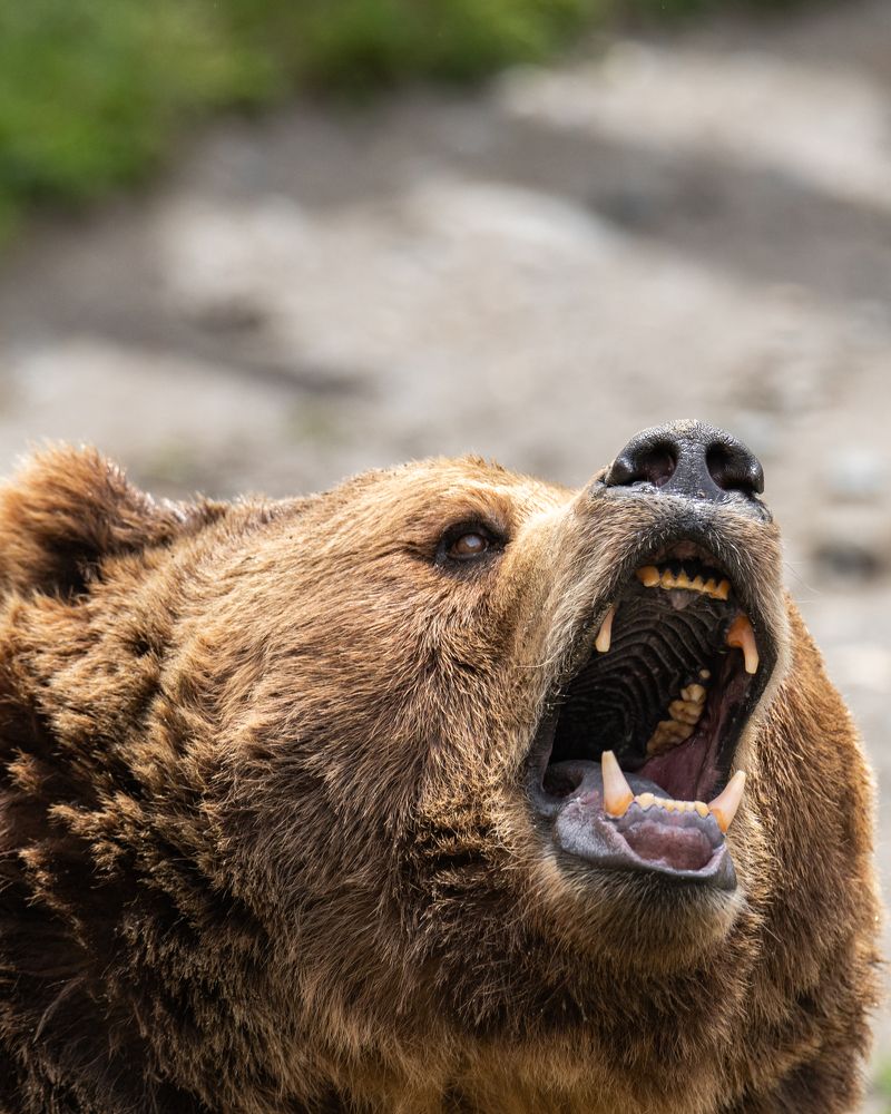 Photograph by Рамзан Давлетмирзаев