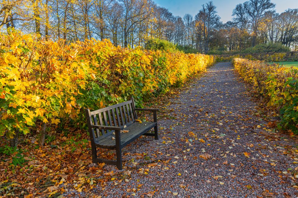 Фотография автора Julia A Caesar