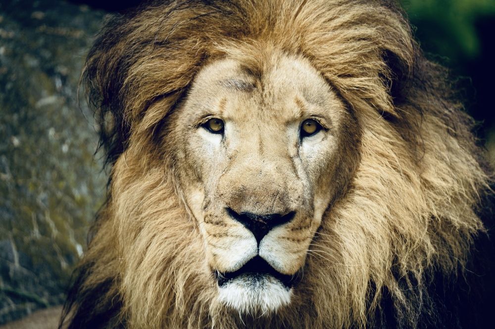 Фотография автора Viktoria