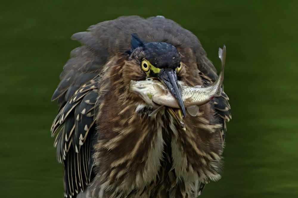 Photograph by Viktoria