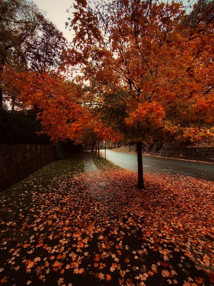 Photograph by Юлия Халяпина